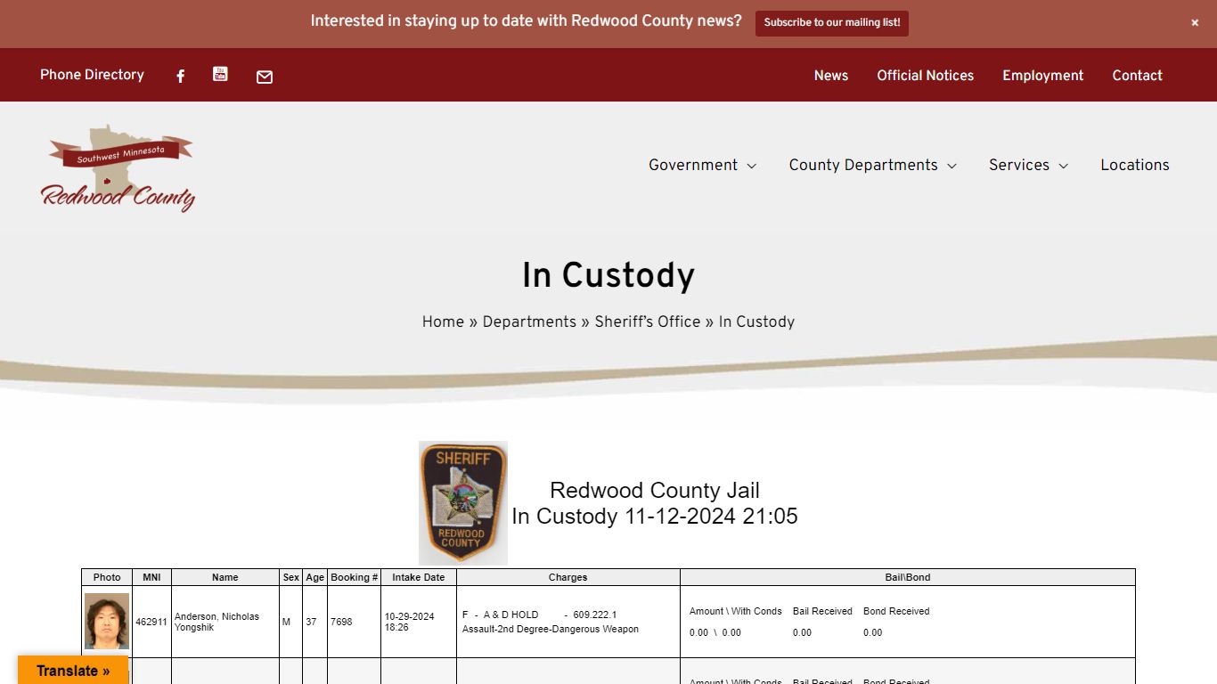 In Custody - Redwood County, MN