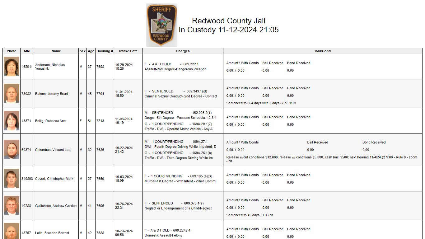 Custody - Redwood County, Minnesota